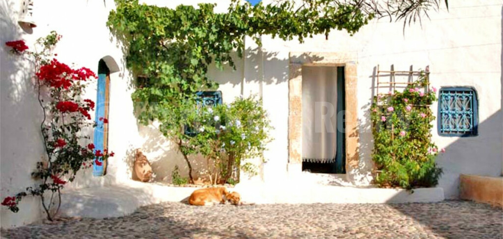 Lovely renovated 4 bedroom farm for sale south of Essaouira