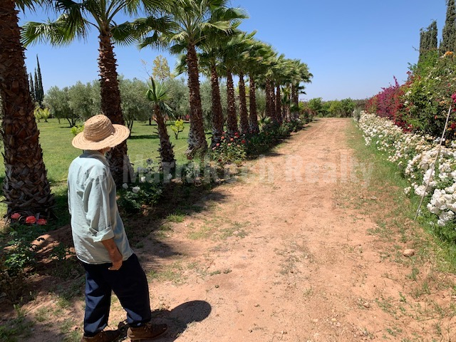 Lovely 3 bedroom country house for sale 25 km from Marrakech
