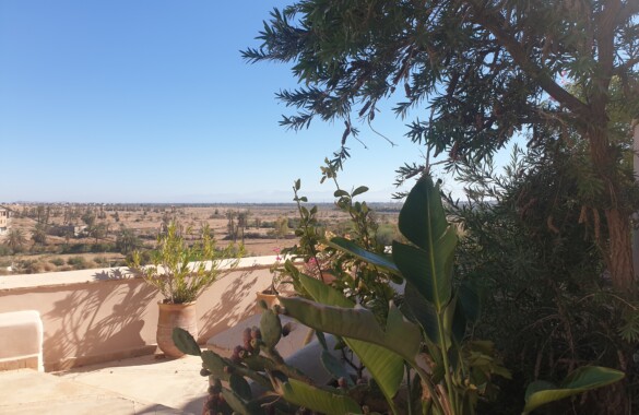 Lovely 4 bedroom Riad in a village close to Marrakech