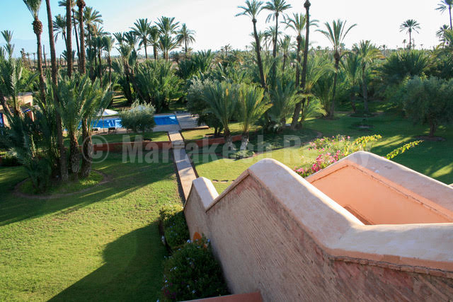 Unique 6 bedroom villa in the Palm Grove