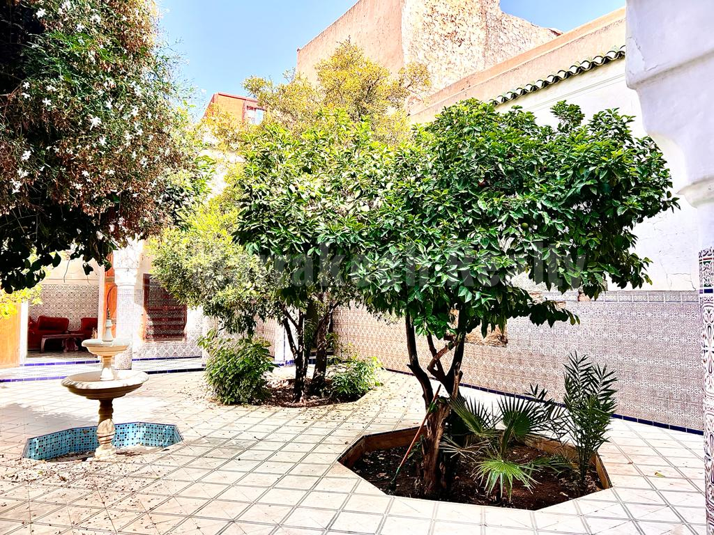 Vaste Riad titré à rénover avec superbe potentiel