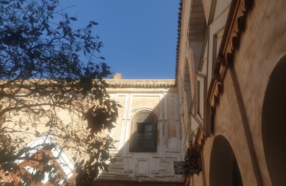 Majestueux Riad à rénover avec accès voiture proche