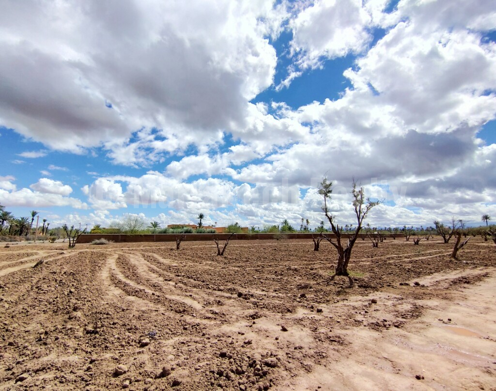 Exceptionnel terrain en vente en Palmeraie de Marrakech