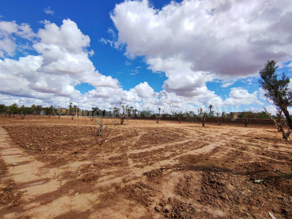 Exceptionnel terrain en vente en Palmeraie de Marrakech