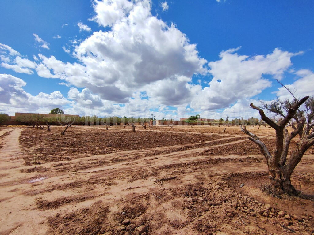 Exceptionnel terrain en vente en Palmeraie de Marrakech