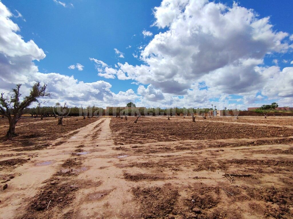 Exceptionnel terrain en vente en Palmeraie de Marrakech