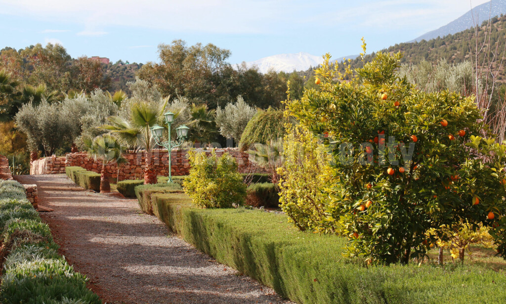 Elégant Ecolodge de 10 chambres à 1 heure de Marrakech