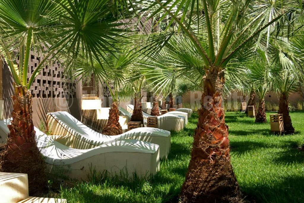 Elégant Ecolodge de 10 chambres à 1 heure de Marrakech