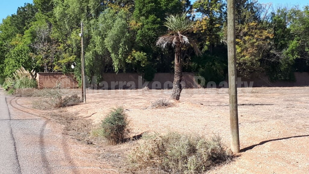 Titled land of 1 hectare in the best of the Palm Grove of Marrakesh