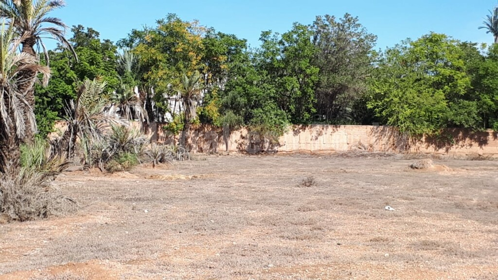 Titled land of 1 hectare in the best of the Palm Grove of Marrakesh