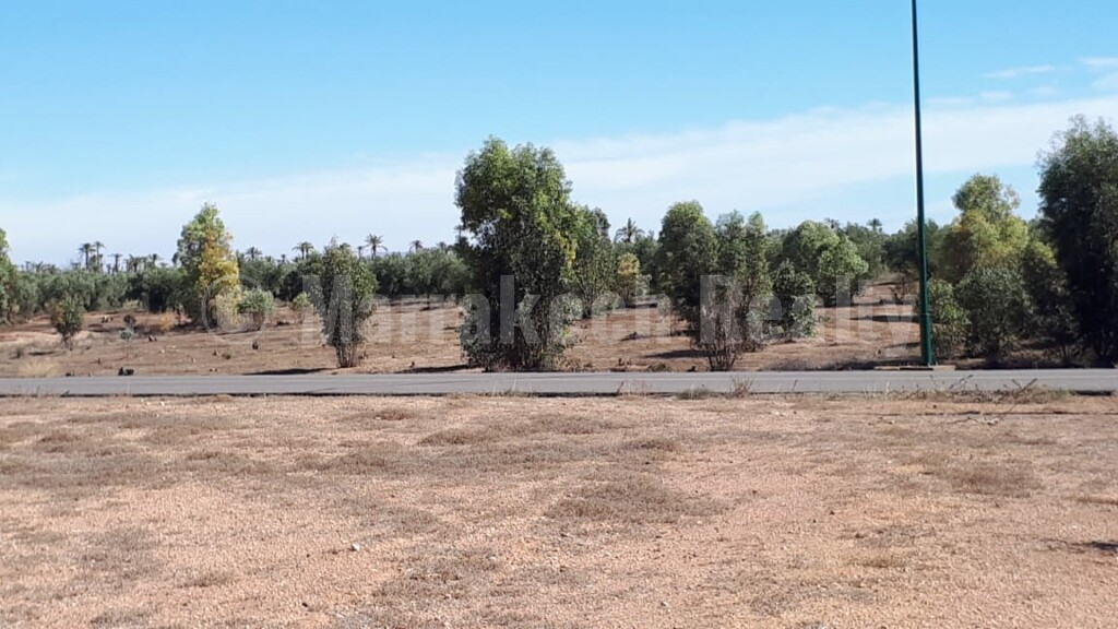 Titled land of 1 hectare in the best of the Palm Grove of Marrakesh