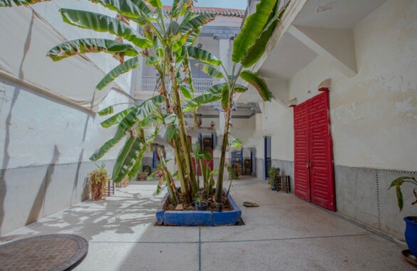 Exquisite 5 bedroom Riad with prime location