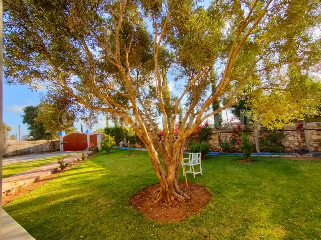 Sweet 7 bedroom country house close to Essaouira