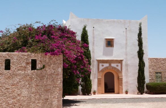 Superbe domaine de 7 hectares au sud d’Essaouira