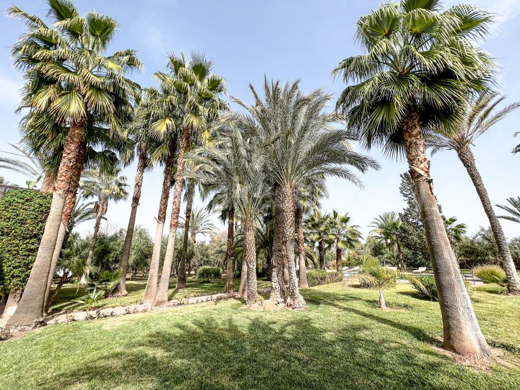 Elégante villa de 7 chambres sur 1 hectare proche de Marrakech