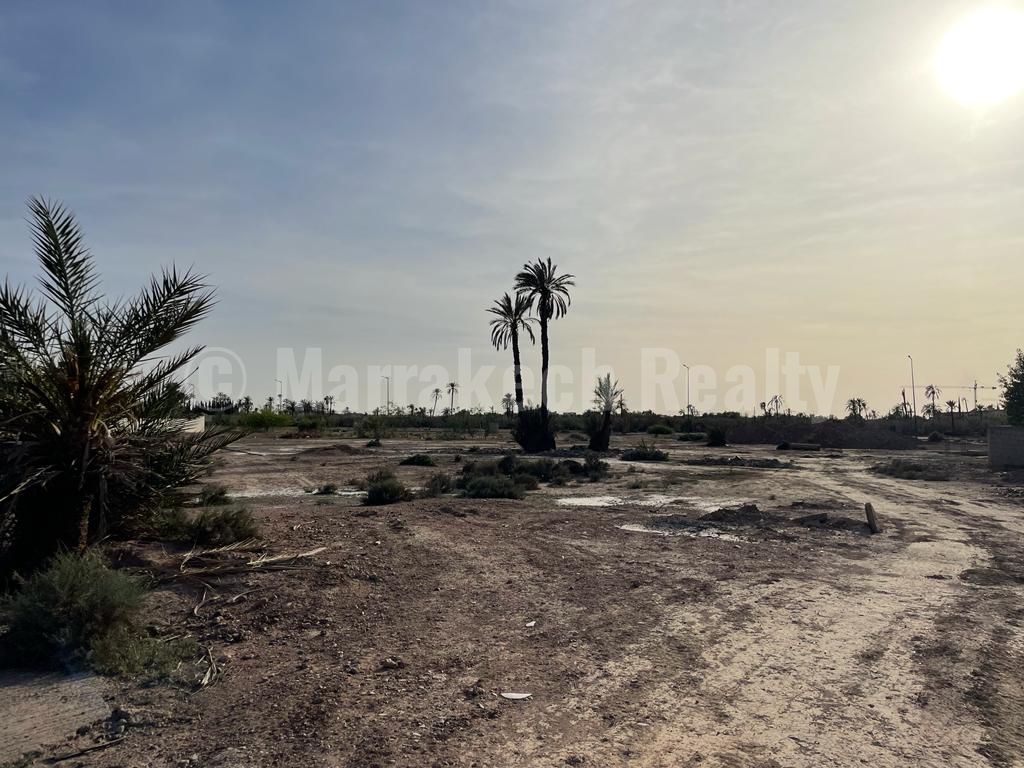 2 000 sqm building plot in the Palmeraie