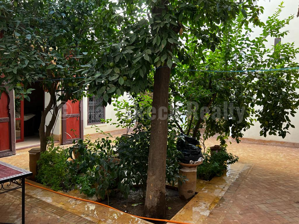 Charmant Riad de 5 chambres idéalement situé