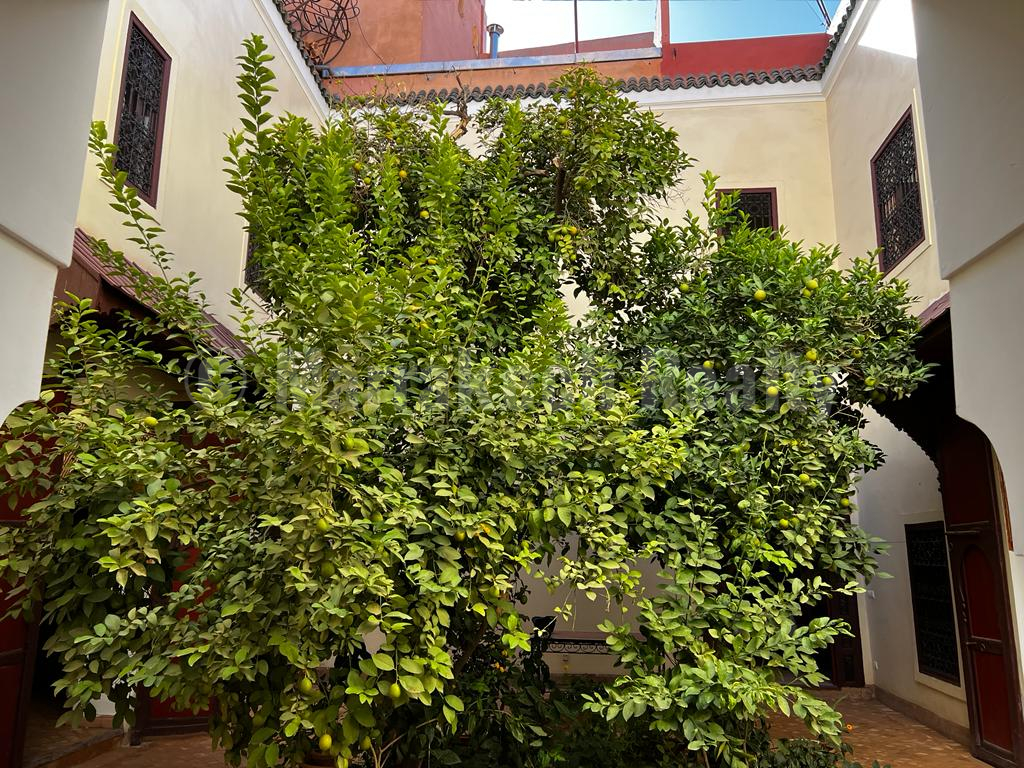 Charmant Riad de 5 chambres idéalement situé