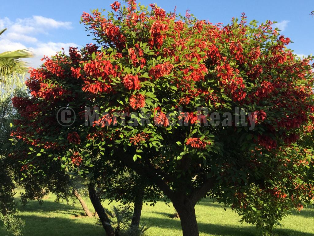 Charmante villa de 5 chambres avec superbe vue