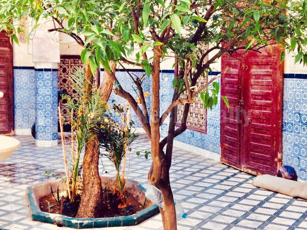 Superb Riad to renovate with prime location