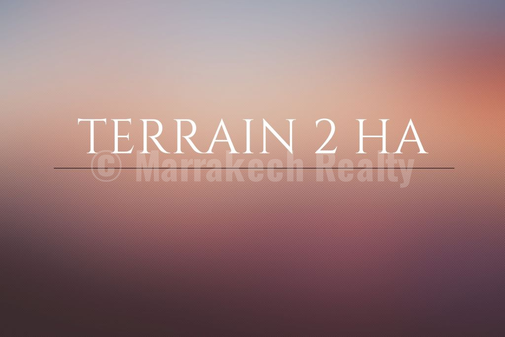 Superb 2 hectare plot in Marrakech