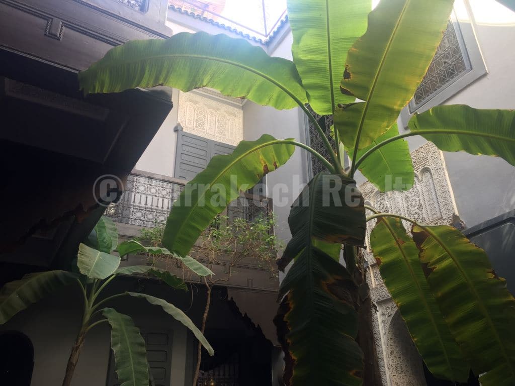 Characterful 5 bedroom Riad with prime location