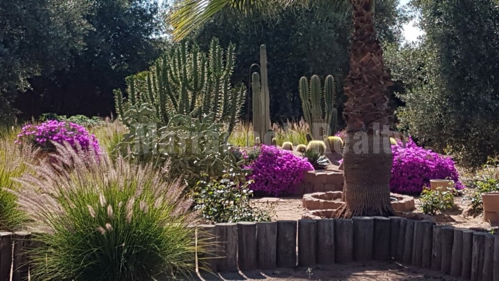 Charmante propriété au pied de l’Atlas