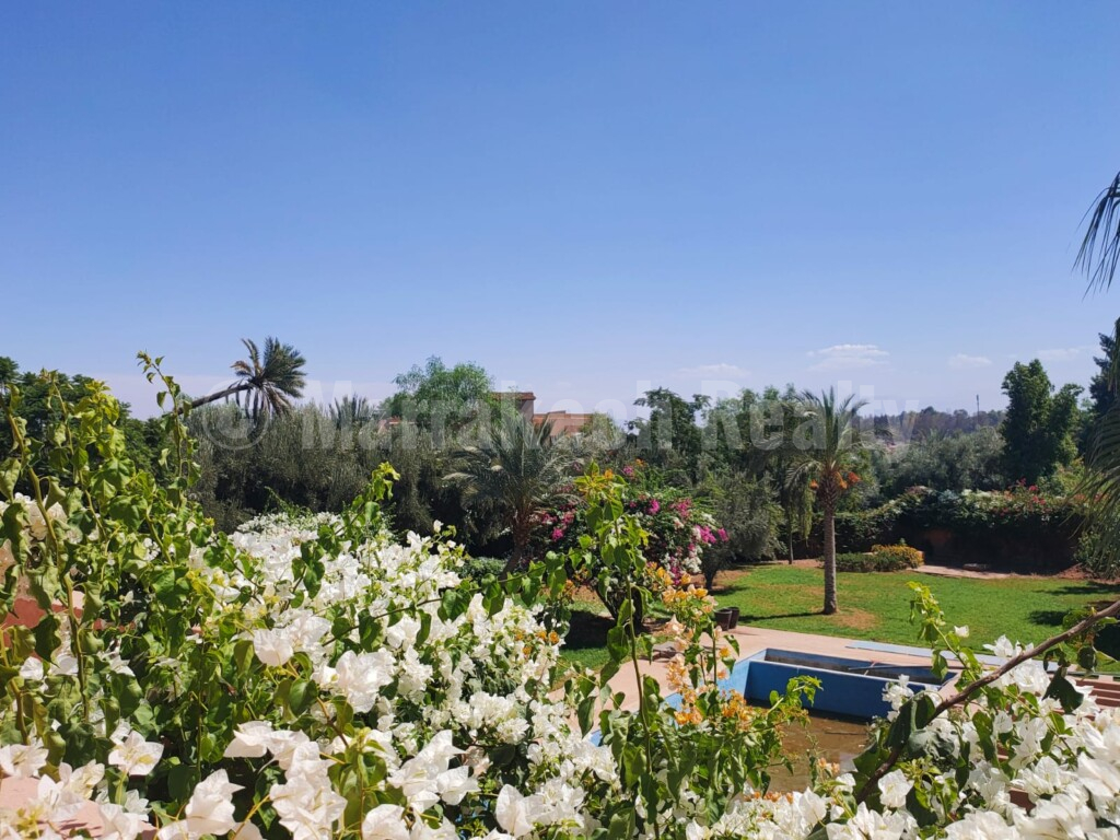 Luxury 9 suite property close to gold courses