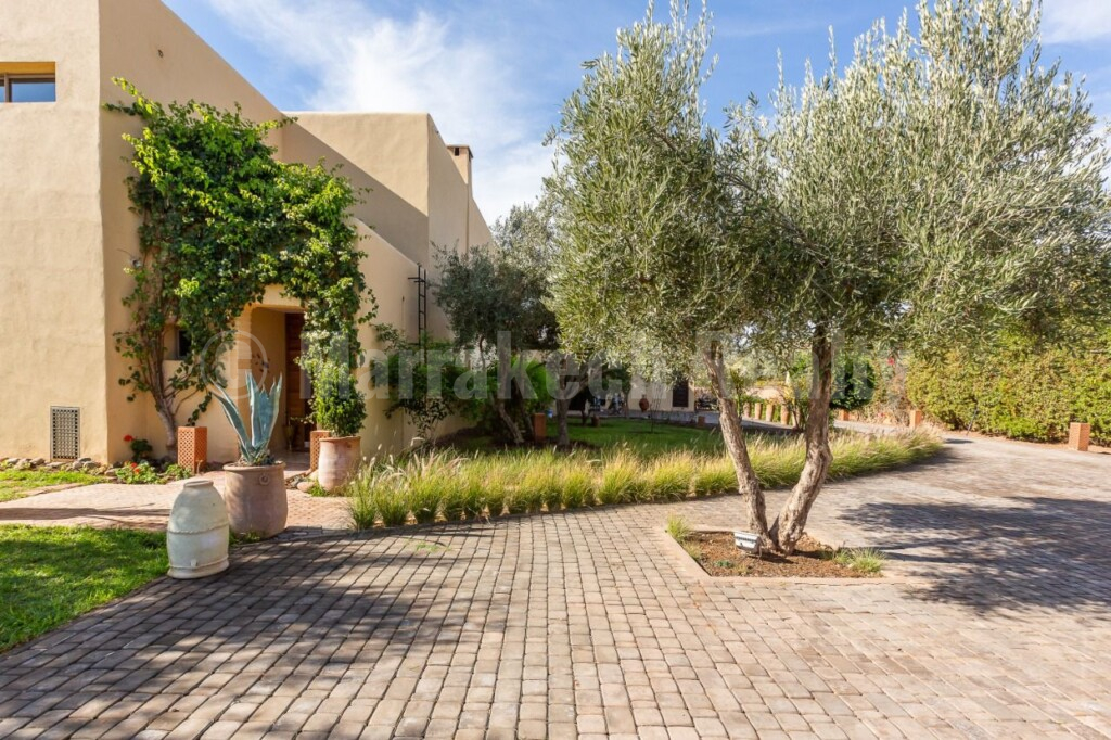 Upscale 4 suite villa in the Palmeraie