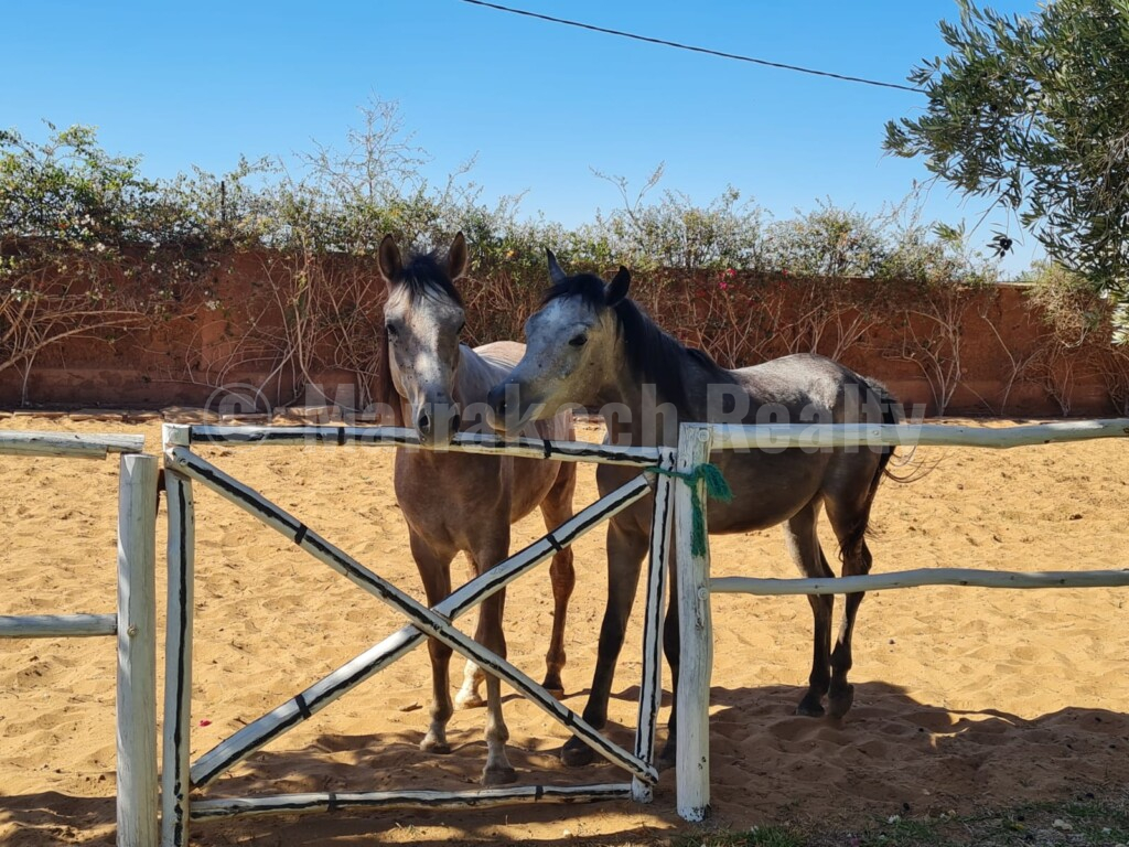 Charmante maison de campagne de 8 chambres proche des golfs