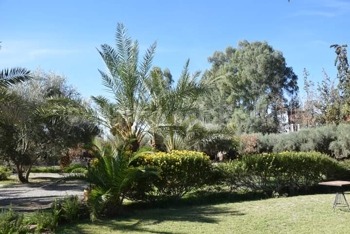 Lovely 6 bedroom property to update