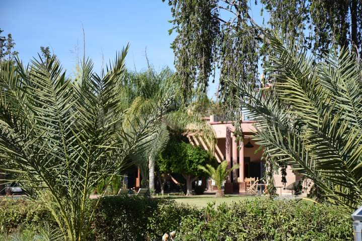 Lovely 6 bedroom property to update