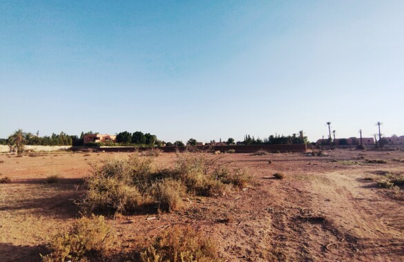 Standout titled plot close to the Amelkis golf