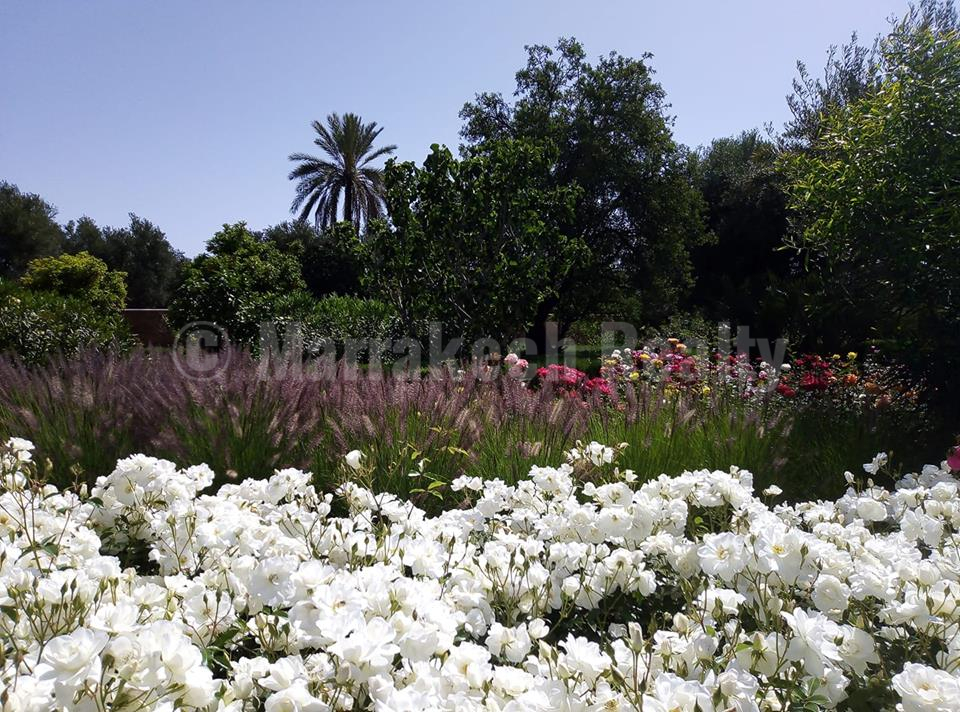 Delightful villa with awesome mountain views