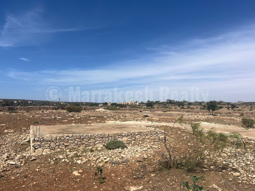 Superbe terrain de 2 hectares à proximité d’Essaouira