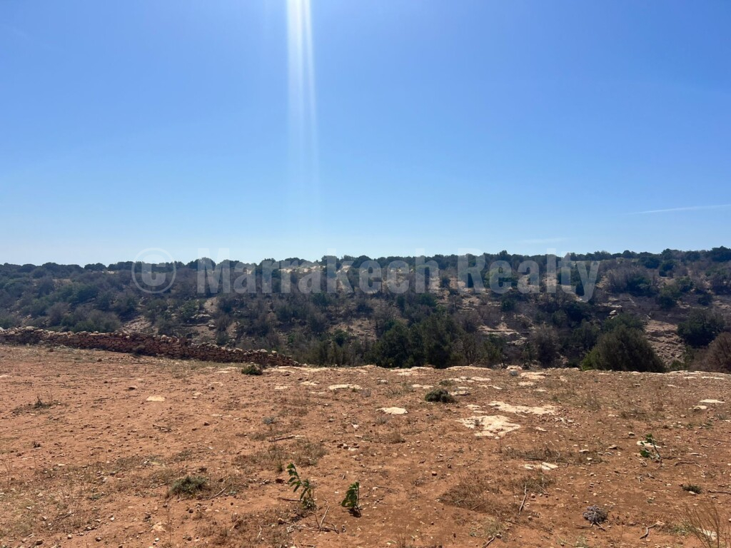 Superbe terrain de 2 hectares à proximité d’Essaouira