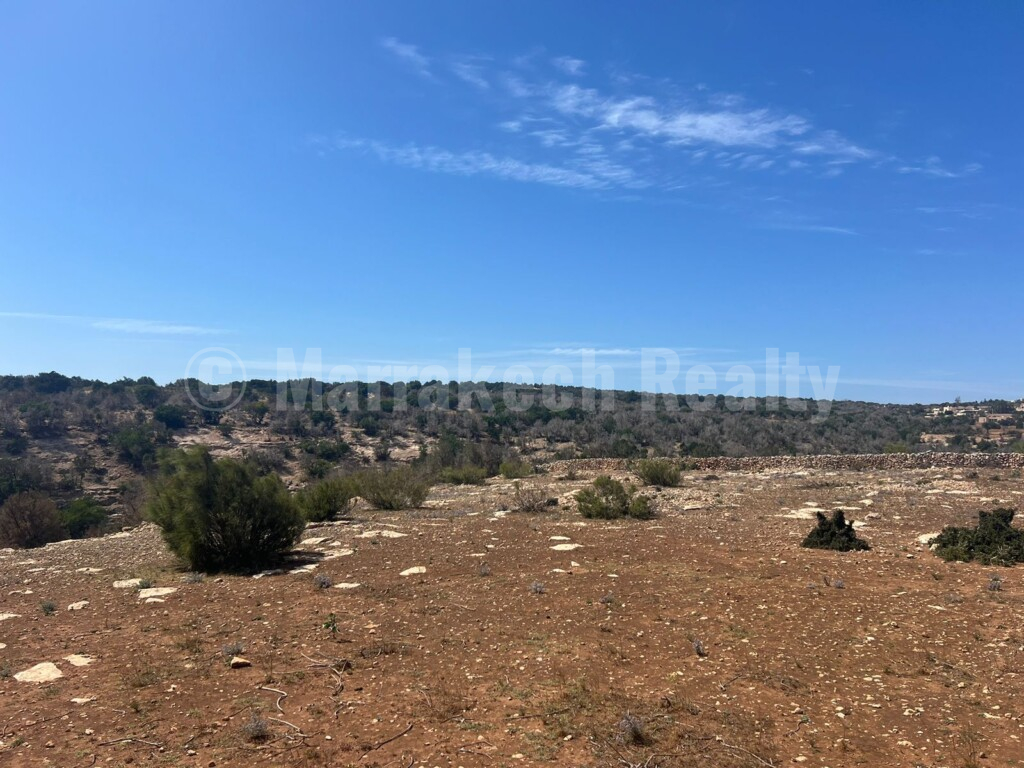 Superbe terrain de 2 hectares à proximité d’Essaouira