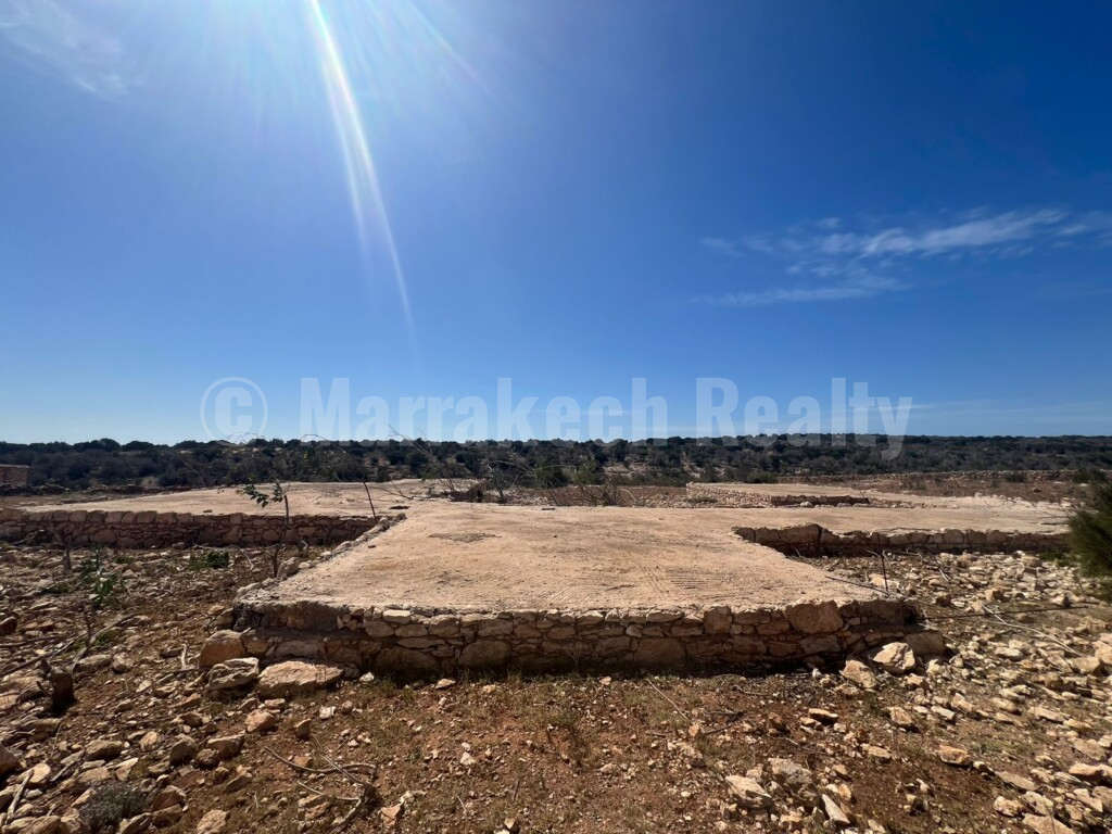 Superbe terrain de 2 hectares à proximité d’Essaouira