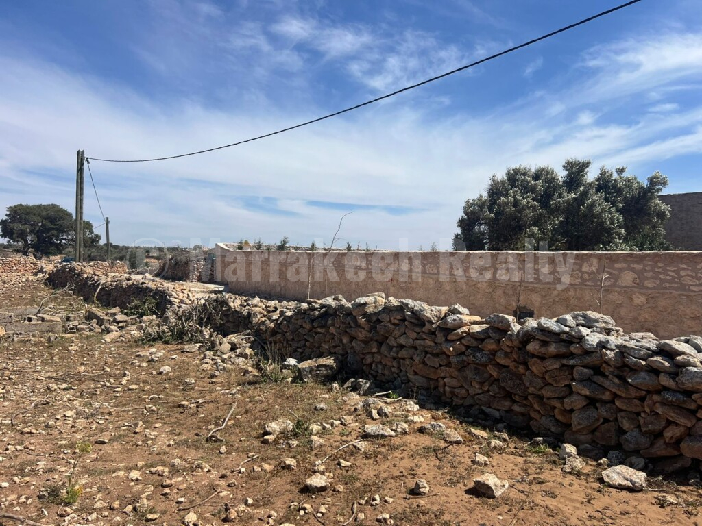 Superbe terrain de 2 hectares à proximité d’Essaouira