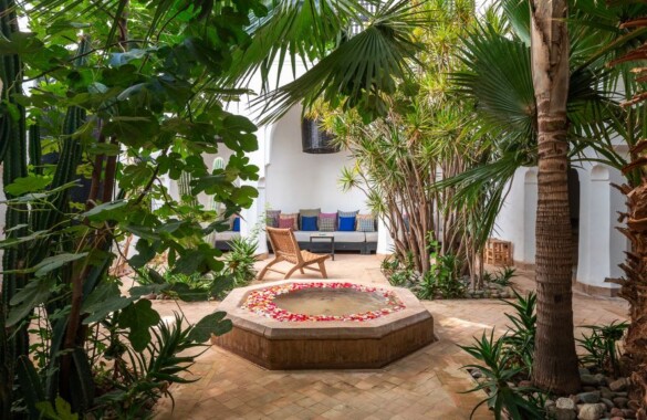 Awesome bohemian-chic Riad with prime location