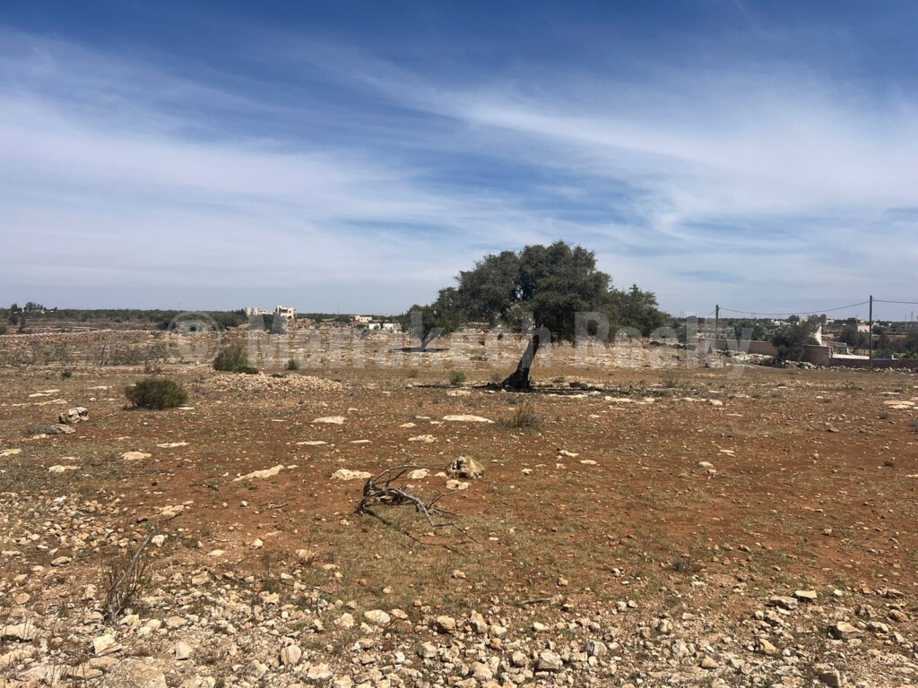 Superbe terrain de 2 hectares à proximité d’Essaouira