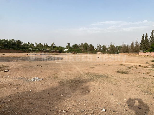 Beau terrain titré d’un hectare en plein cœur de la Palmeraie