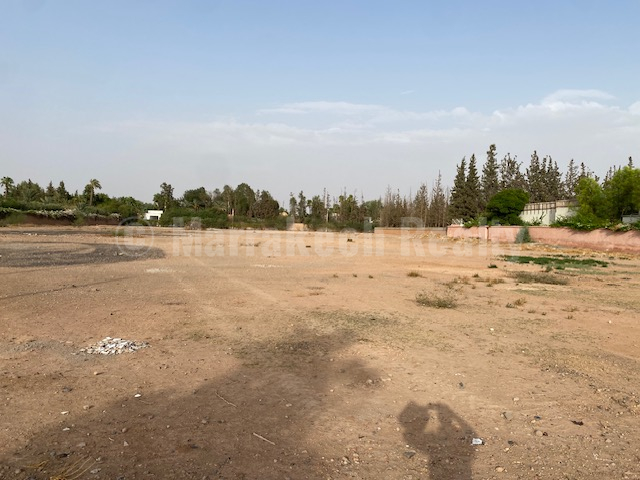 Beau terrain titré d’un hectare en plein cœur de la Palmeraie
