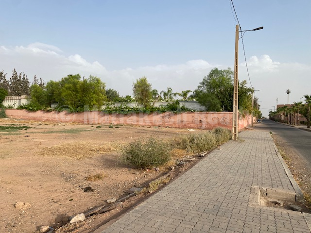 Beau terrain titré d’un hectare en plein cœur de la Palmeraie