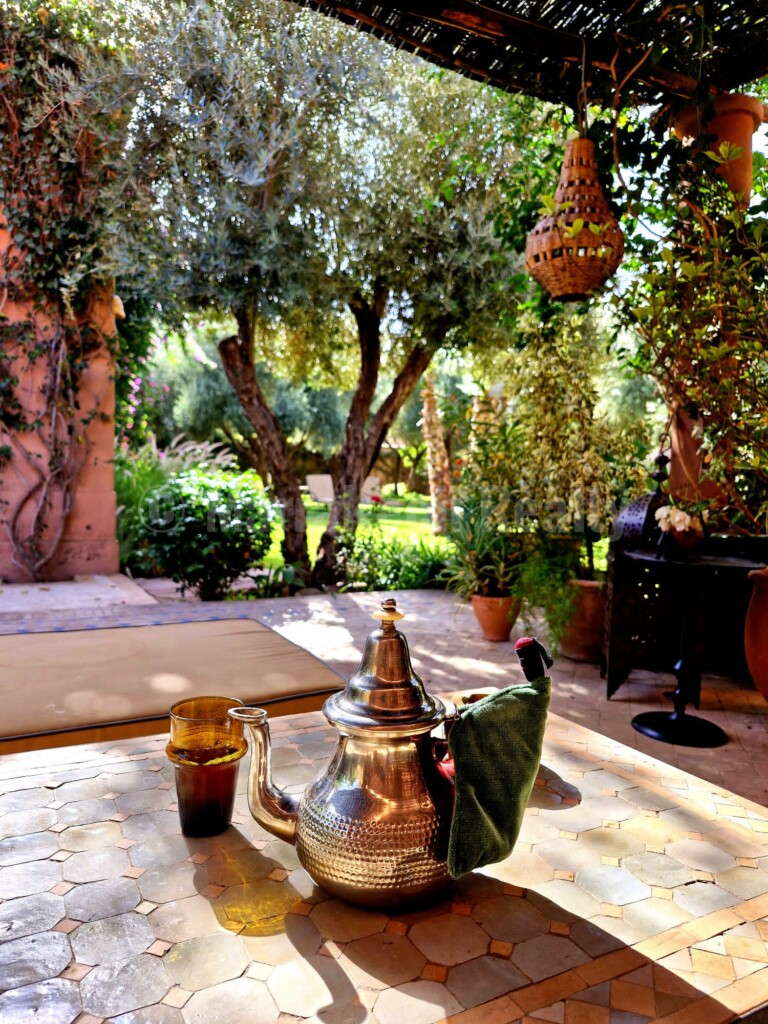 Villa La porte au lion – 3 chambres – grand jardin et grande piscine sans vis-à-vis