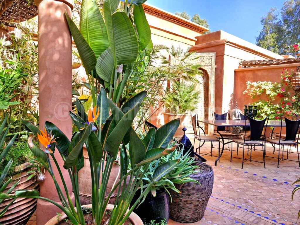 Villa La porte au lion – 3 chambres – grand jardin et grande piscine sans vis-à-vis