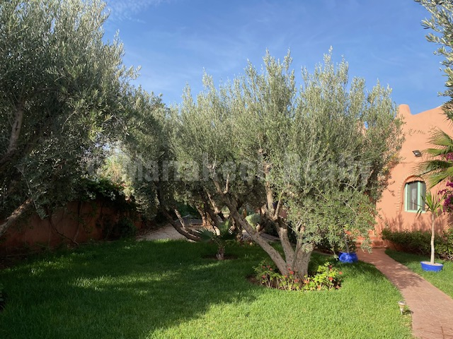 Villa de 145 m² habitable avec piscine nichée dans un écrin de verdure