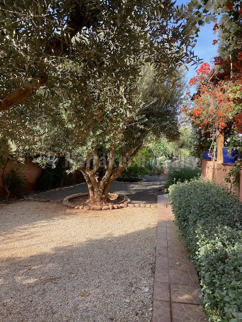 Villa de 145 m² habitable avec piscine nichée dans un écrin de verdure