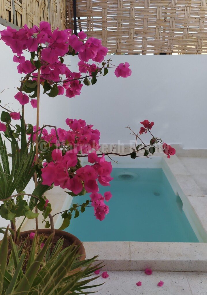 Riad Ker 46 – Medina – 3 bedrooms – Terrace with view of the Koutoubia and plunge pool
