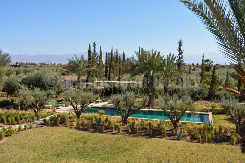 Splendide propriété de 2 hectares avec grande piscine et oliveraie